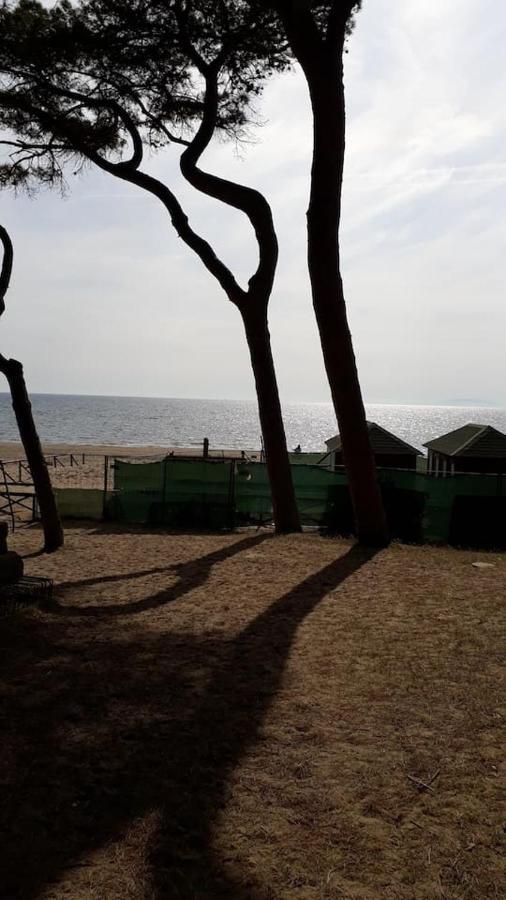 福洛尼卡Un Mare Di Relax公寓 外观 照片